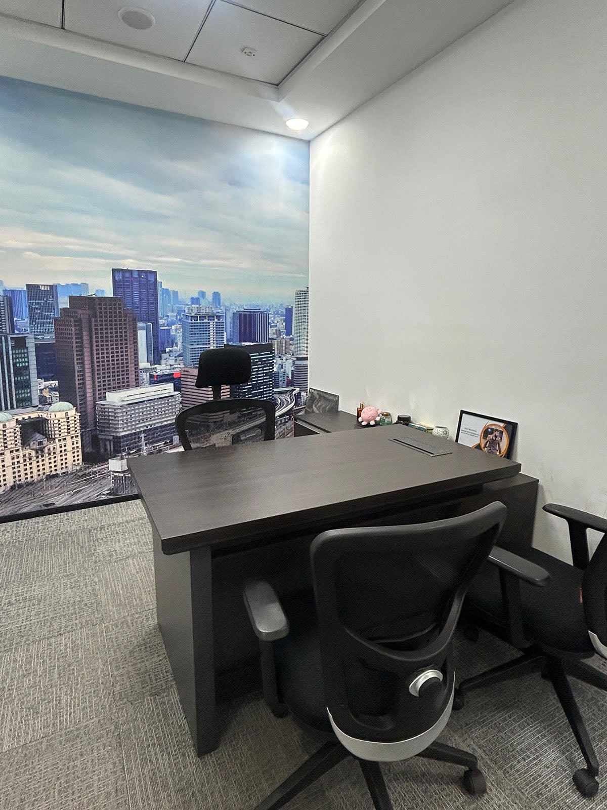 HITEC City | Madhapur – 302A Jain Sadguru’s Capital Park Workspace View 5